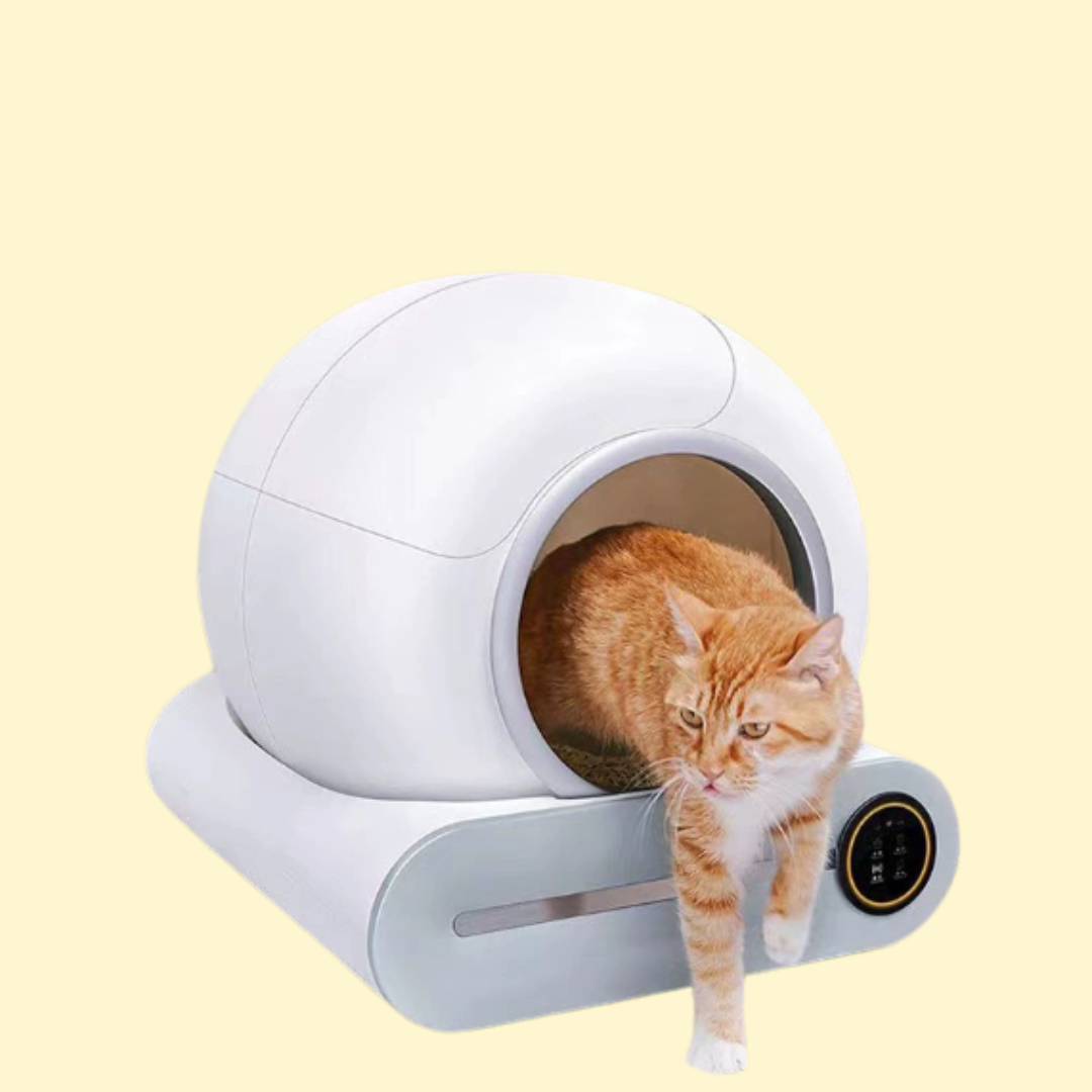 Smart Automatic Cat Litter Box