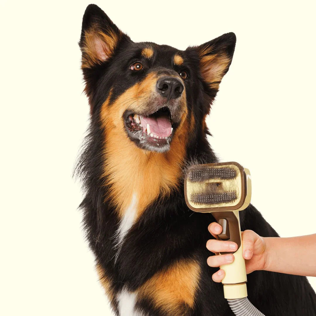 brush