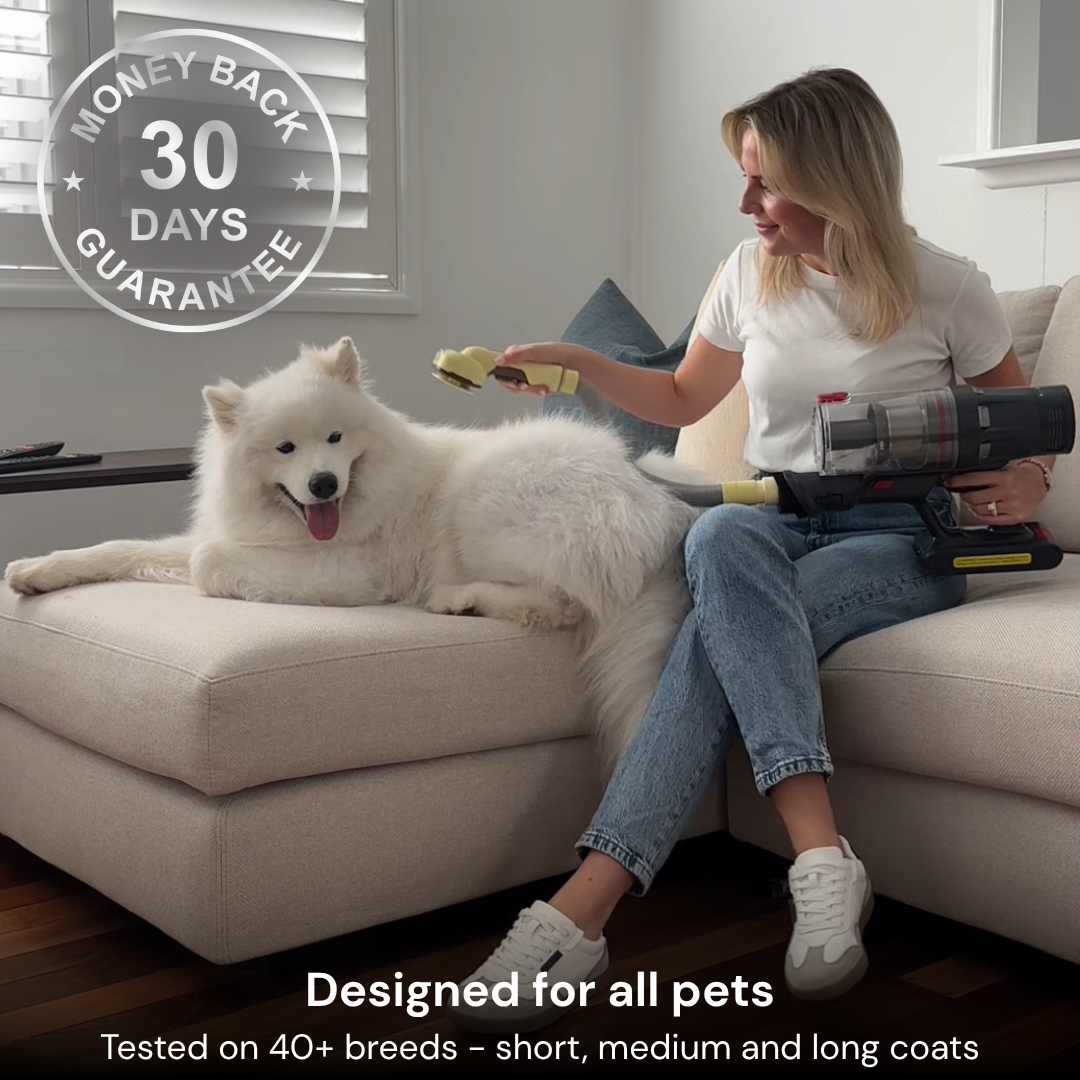 Brush & Bath Bundle