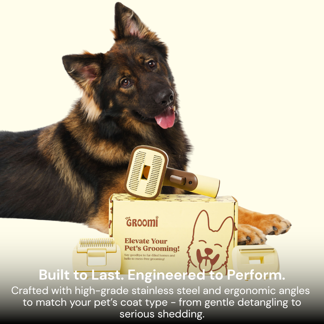 Brush & Bath Bundle