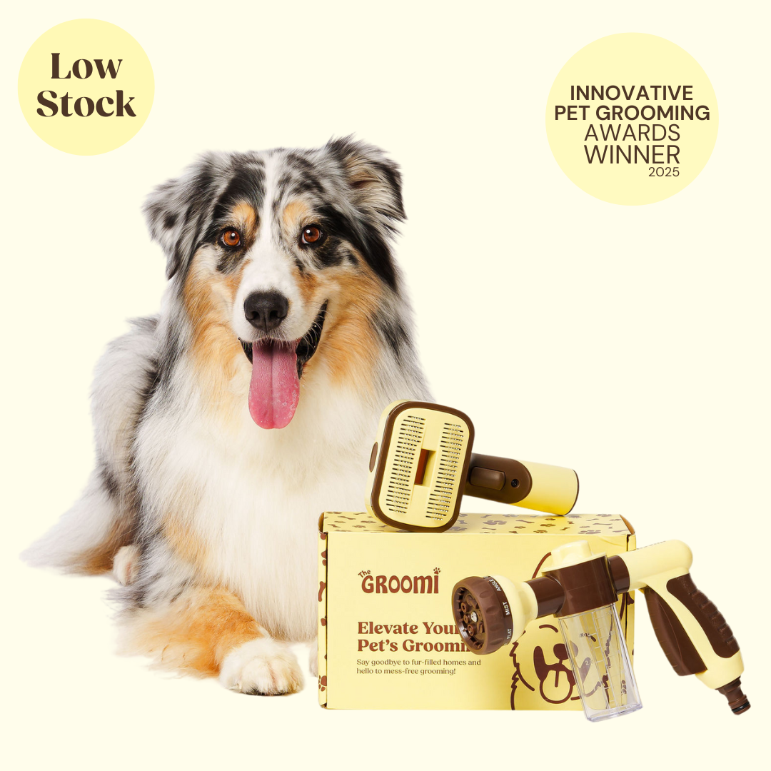 Brush & Bath Bundle