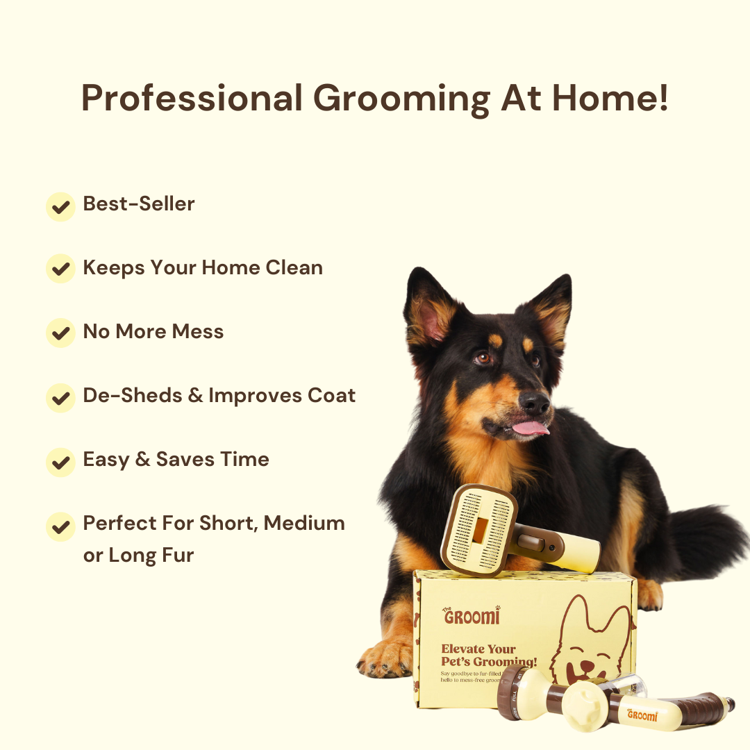 Brush & Bath Bundle