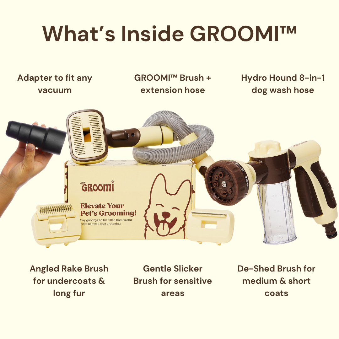 Brush & Bath Bundle
