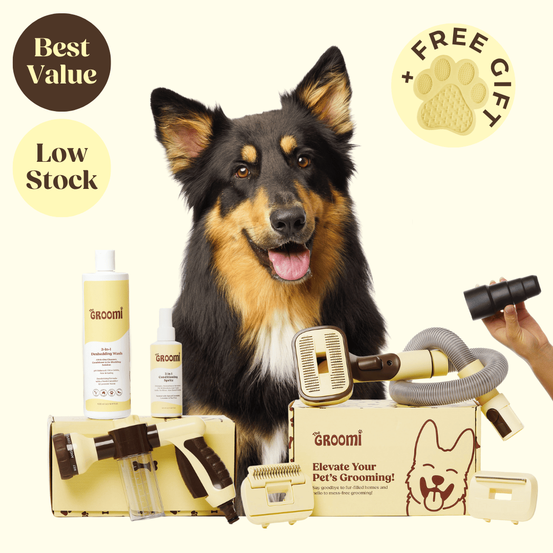 Ultimate GROOMI™ Bundle