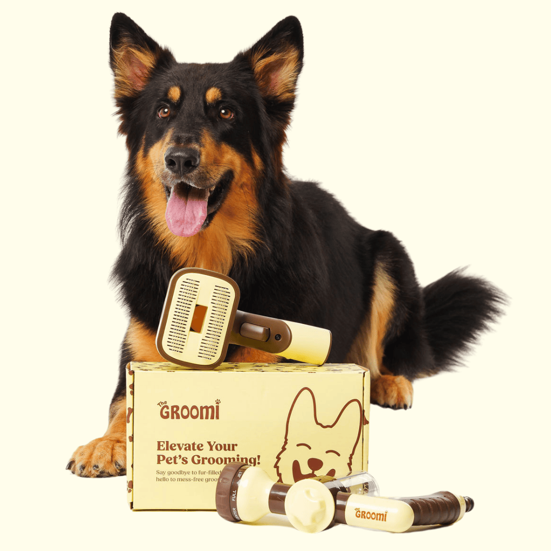 Brush & Bath Bundle