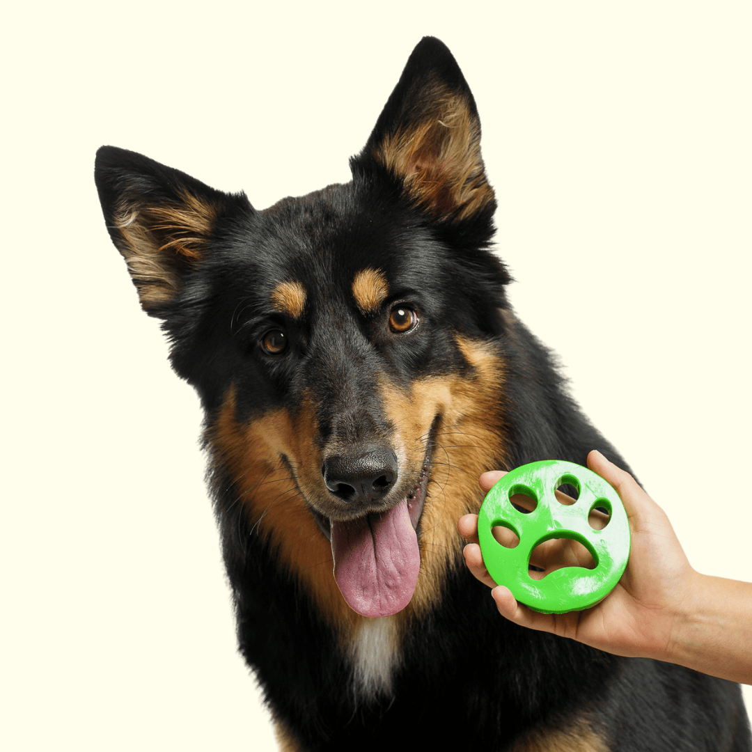 Laundry Fur-Remover