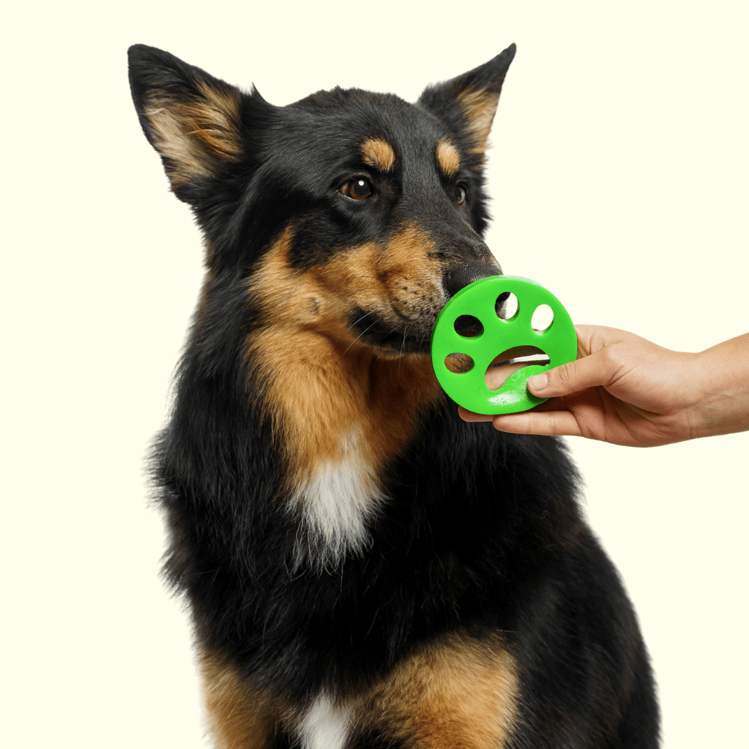 Laundry Fur-Remover