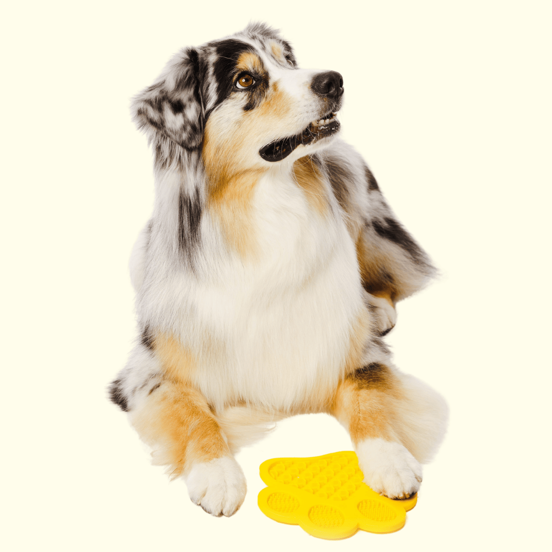 Calming Lick Mat for Dogs & Cats