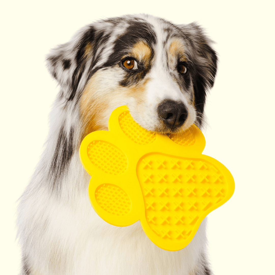 Calming Lick Mat for Dogs & Cats