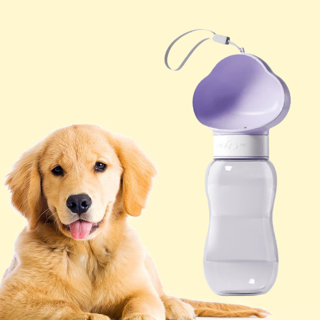2-in-1 Portable Pet Water & Food Bottle